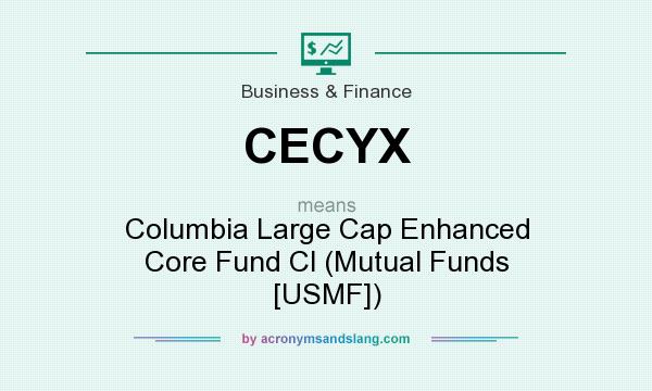 What does CECYX mean? It stands for Columbia Large Cap Enhanced Core Fund Cl (Mutual Funds [USMF])