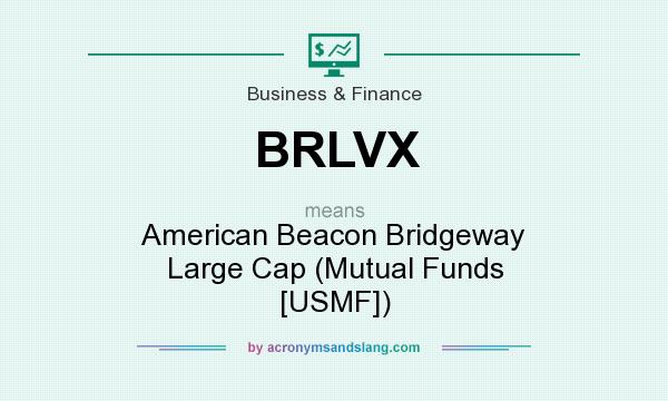 What does BRLVX mean? It stands for American Beacon Bridgeway Large Cap (Mutual Funds [USMF])