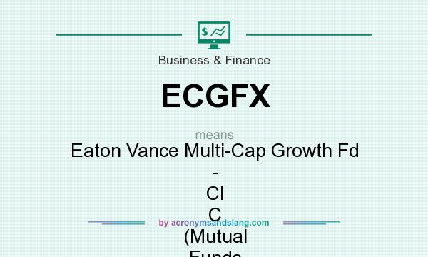 What does ECGFX mean? It stands for Eaton Vance Multi-Cap Growth Fd - Cl C (Mutual Funds [USMF])