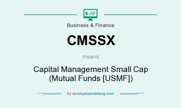 What does CMSSX mean? It stands for Capital Management Small Cap (Mutual Funds [USMF])