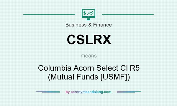 What does CSLRX mean? It stands for Columbia Acorn Select Cl R5 (Mutual Funds [USMF])