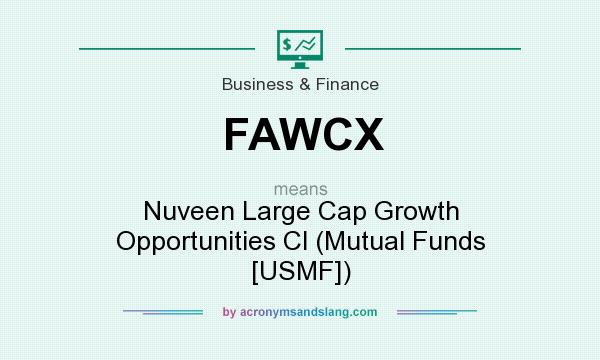 What does FAWCX mean? It stands for Nuveen Large Cap Growth Opportunities Cl (Mutual Funds [USMF])