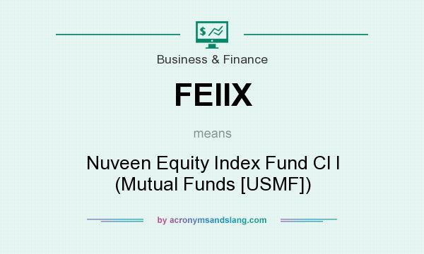 What does FEIIX mean? It stands for Nuveen Equity Index Fund Cl I (Mutual Funds [USMF])