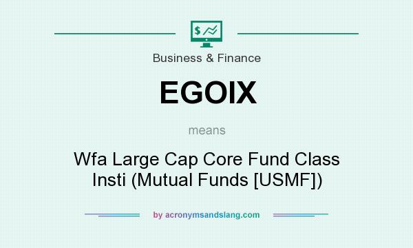 What does EGOIX mean? It stands for Wfa Large Cap Core Fund Class Insti (Mutual Funds [USMF])