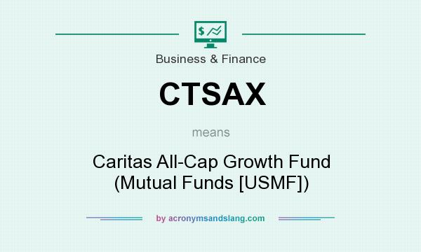 What does CTSAX mean? It stands for Caritas All-Cap Growth Fund (Mutual Funds [USMF])