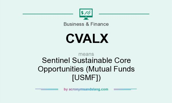 What does CVALX mean? It stands for Sentinel Sustainable Core Opportunities (Mutual Funds [USMF])