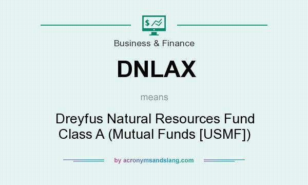 What does DNLAX mean? It stands for Dreyfus Natural Resources Fund Class A (Mutual Funds [USMF])