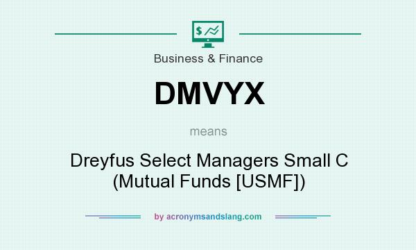 What does DMVYX mean? It stands for Dreyfus Select Managers Small C (Mutual Funds [USMF])