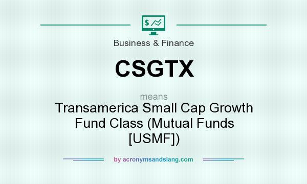 What does CSGTX mean? It stands for Transamerica Small Cap Growth Fund Class (Mutual Funds [USMF])