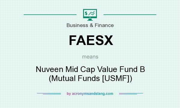 What does FAESX mean? It stands for Nuveen Mid Cap Value Fund B (Mutual Funds [USMF])