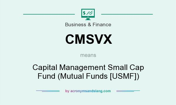 What does CMSVX mean? It stands for Capital Management Small Cap Fund (Mutual Funds [USMF])