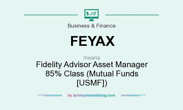 What does FEYAX mean? It stands for Fidelity Advisor Asset Manager 85% Class (Mutual Funds [USMF])