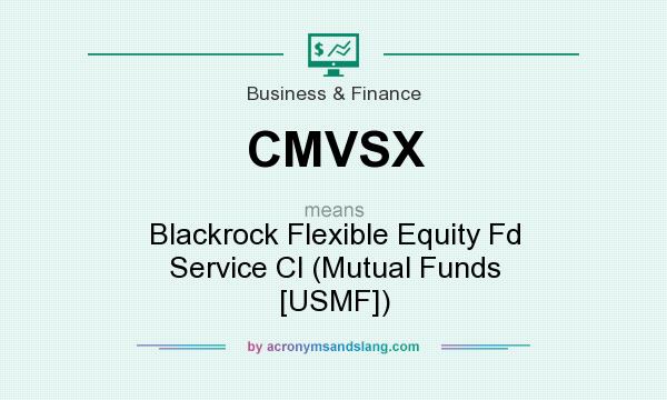 What does CMVSX mean? It stands for Blackrock Flexible Equity Fd Service Cl (Mutual Funds [USMF])