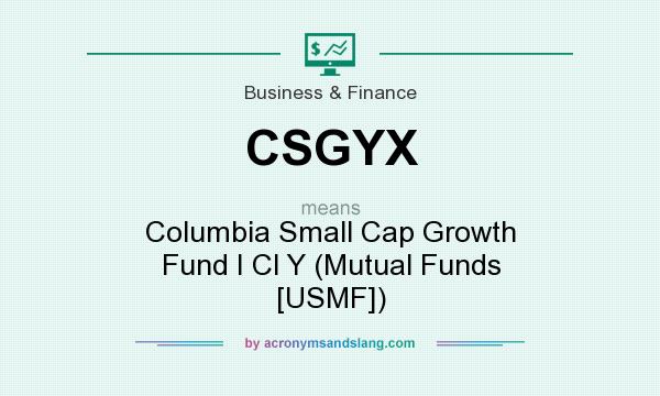 What does CSGYX mean? It stands for Columbia Small Cap Growth Fund I Cl Y (Mutual Funds [USMF])