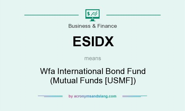 What does ESIDX mean? It stands for Wfa International Bond Fund (Mutual Funds [USMF])