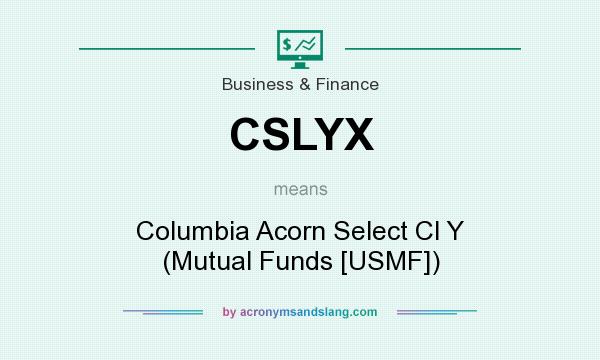 What does CSLYX mean? It stands for Columbia Acorn Select Cl Y (Mutual Funds [USMF])
