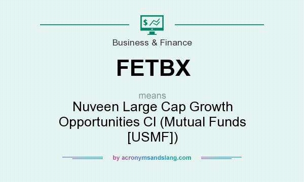 What does FETBX mean? It stands for Nuveen Large Cap Growth Opportunities Cl (Mutual Funds [USMF])