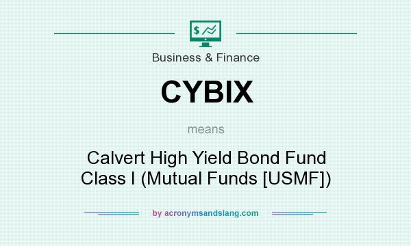 What does CYBIX mean? It stands for Calvert High Yield Bond Fund Class I (Mutual Funds [USMF])