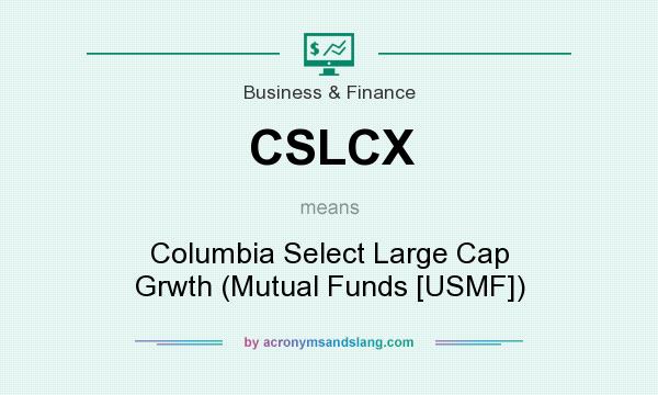 What does CSLCX mean? It stands for Columbia Select Large Cap Grwth (Mutual Funds [USMF])