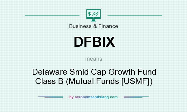 What does DFBIX mean? It stands for Delaware Smid Cap Growth Fund Class B (Mutual Funds [USMF])