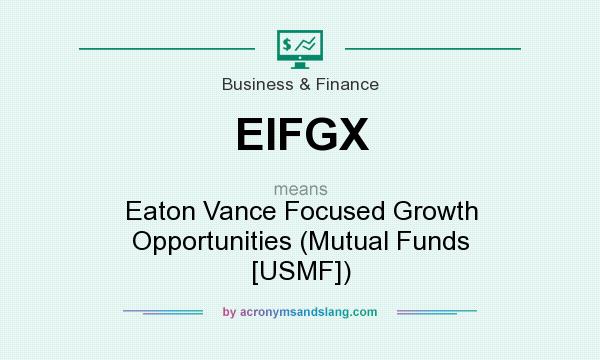 What does EIFGX mean? It stands for Eaton Vance Focused Growth Opportunities (Mutual Funds [USMF])