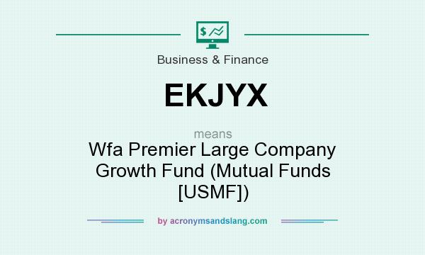 What does EKJYX mean? It stands for Wfa Premier Large Company Growth Fund (Mutual Funds [USMF])