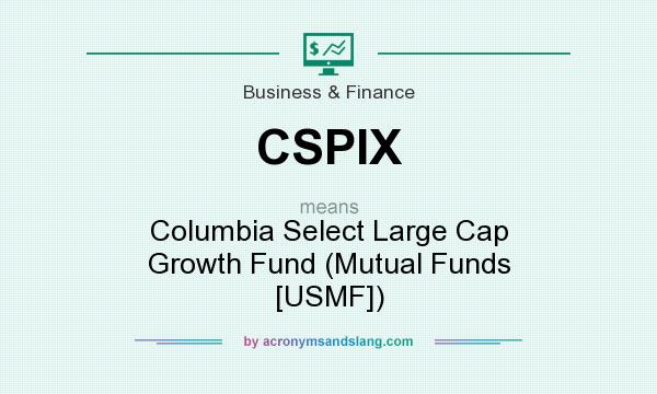What does CSPIX mean? It stands for Columbia Select Large Cap Growth Fund (Mutual Funds [USMF])