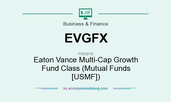 What does EVGFX mean? It stands for Eaton Vance Multi-Cap Growth Fund Class (Mutual Funds [USMF])