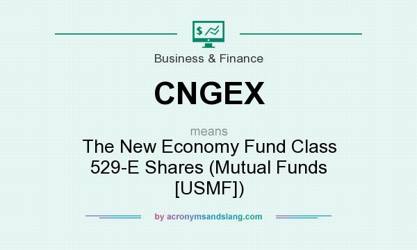 What does CNGEX mean? It stands for The New Economy Fund Class 529-E Shares (Mutual Funds [USMF])