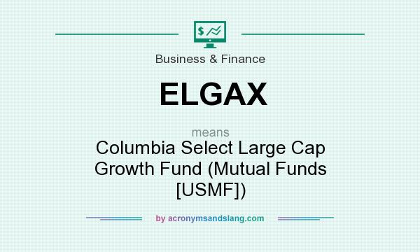 What does ELGAX mean? It stands for Columbia Select Large Cap Growth Fund (Mutual Funds [USMF])