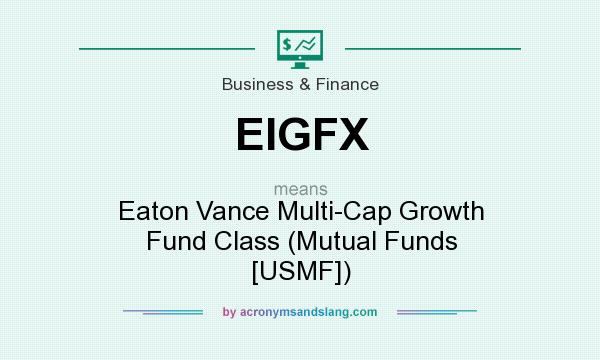 What does EIGFX mean? It stands for Eaton Vance Multi-Cap Growth Fund Class (Mutual Funds [USMF])