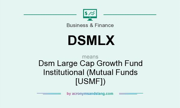 What does DSMLX mean? It stands for Dsm Large Cap Growth Fund Institutional (Mutual Funds [USMF])