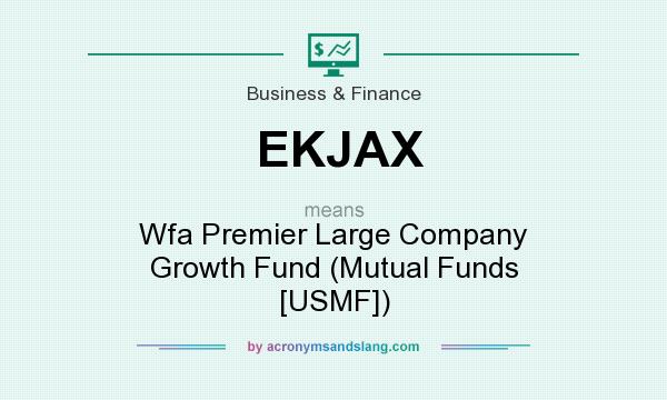 What does EKJAX mean? It stands for Wfa Premier Large Company Growth Fund (Mutual Funds [USMF])