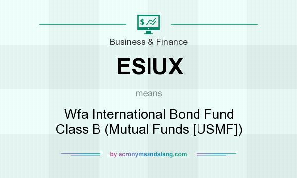 What does ESIUX mean? It stands for Wfa International Bond Fund Class B (Mutual Funds [USMF])