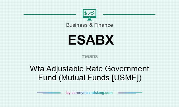 What does ESABX mean? It stands for Wfa Adjustable Rate Government Fund (Mutual Funds [USMF])