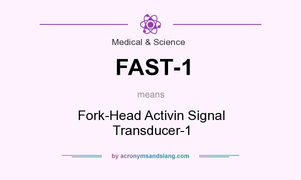 What does FAST-1 mean? It stands for Fork-Head Activin Signal Transducer-1