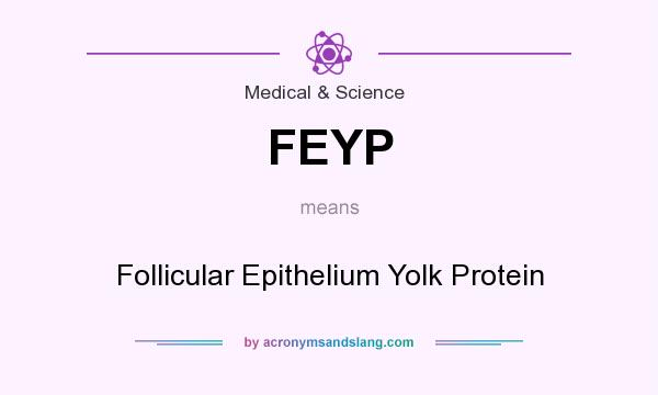 What does FEYP mean? It stands for Follicular Epithelium Yolk Protein
