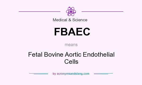 What does FBAEC mean? It stands for Fetal Bovine Aortic Endothelial Cells