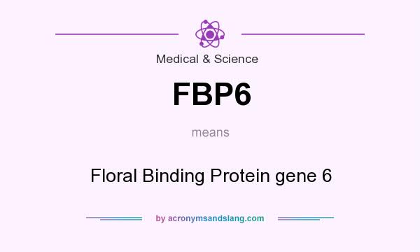 What does FBP6 mean? It stands for Floral Binding Protein gene 6