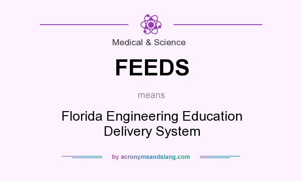 What does FEEDS mean? It stands for Florida Engineering Education Delivery System