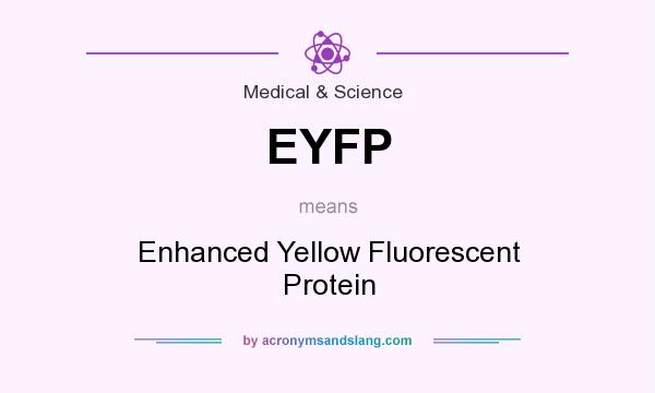 What does EYFP mean? It stands for Enhanced Yellow Fluorescent Protein
