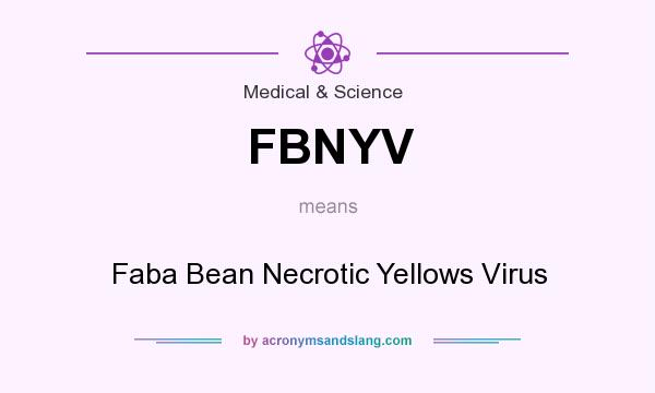 What does FBNYV mean? It stands for Faba Bean Necrotic Yellows Virus