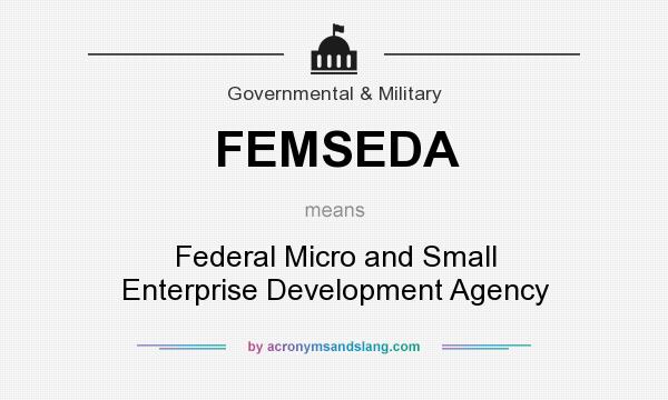 What does FEMSEDA mean? It stands for Federal Micro and Small Enterprise Development Agency
