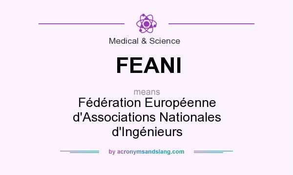 What does FEANI mean? It stands for Fédération Européenne d`Associations Nationales d`Ingénieurs