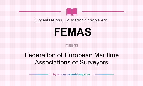 What does FEMAS mean? It stands for Federation of European Maritime Associations of Surveyors