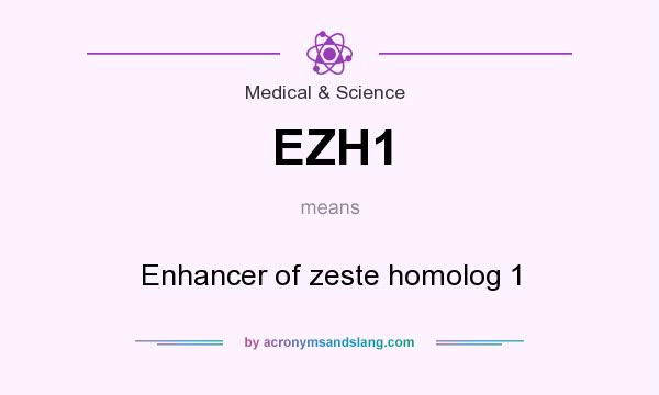 What does EZH1 mean? It stands for Enhancer of zeste homolog 1