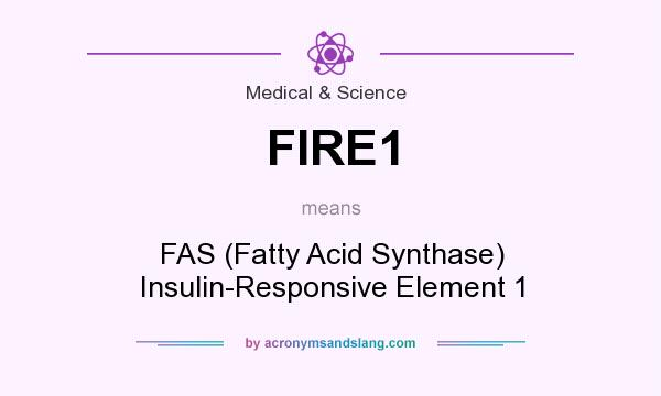 What does FIRE1 mean? It stands for FAS (Fatty Acid Synthase) Insulin-Responsive Element 1