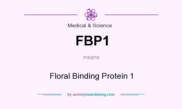 What does FBP1 mean? It stands for Floral Binding Protein 1