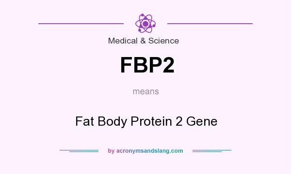 What does FBP2 mean? It stands for Fat Body Protein 2 Gene