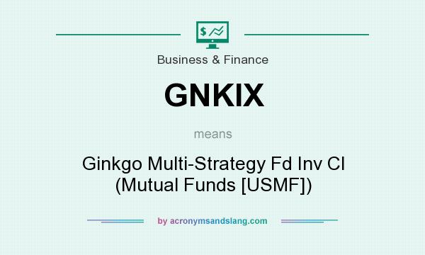 What does GNKIX mean? It stands for Ginkgo Multi-Strategy Fd Inv Cl (Mutual Funds [USMF])